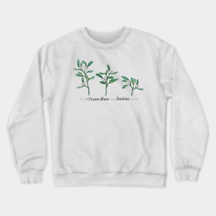 Mistletoe-Viscum album Crewneck Sweatshirt